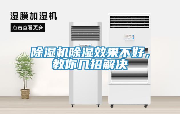 猫咪成人官网除湿效果不好，教你几招解决