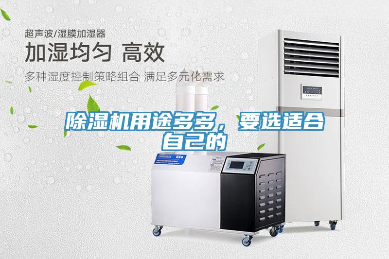 猫咪成人官网用途多多，要选适合自己的