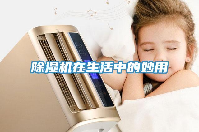 猫咪成人官网在生活中的妙用
