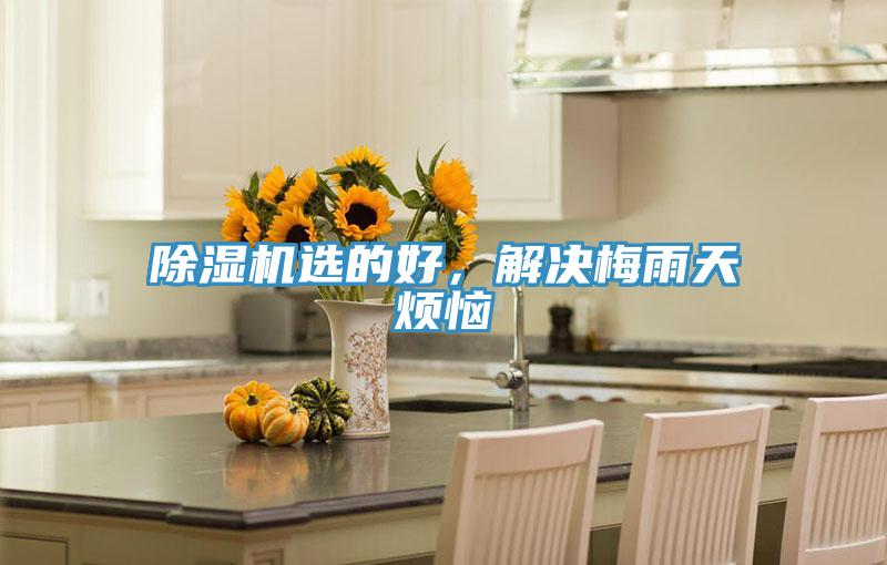 猫咪成人官网选的好，解决梅雨天烦恼