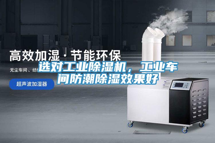 选对工业猫咪成人官网，工业车间防潮除湿效果好