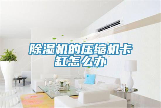 猫咪成人官网的压缩机卡缸怎么办