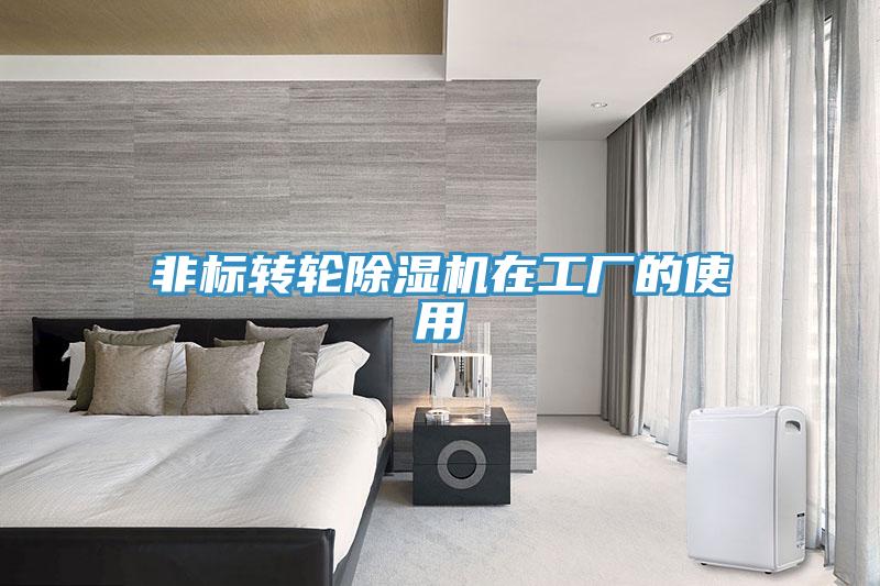 非标转轮猫咪成人官网在工厂的使用