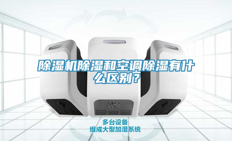 猫咪成人官网除湿和空调除湿有什么区别？