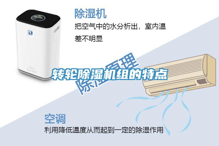 转轮猫咪成人官网组的特点