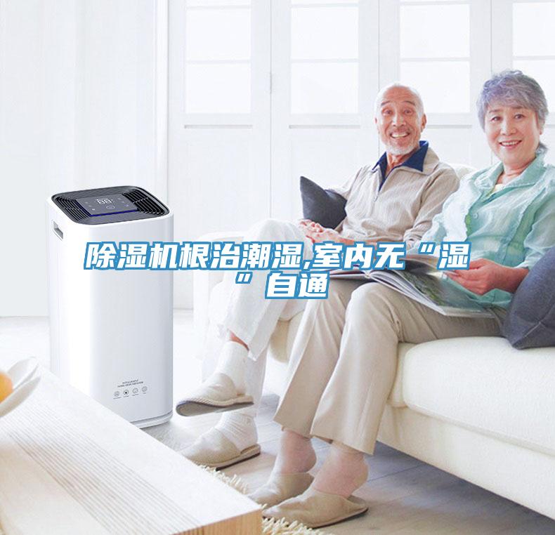 猫咪成人官网根治潮湿,室内无“湿”自通