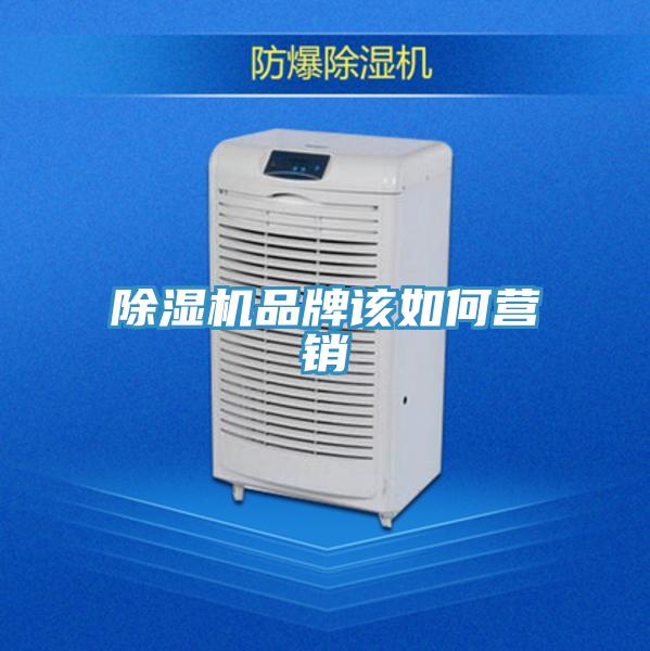猫咪成人官网品牌该如何营销