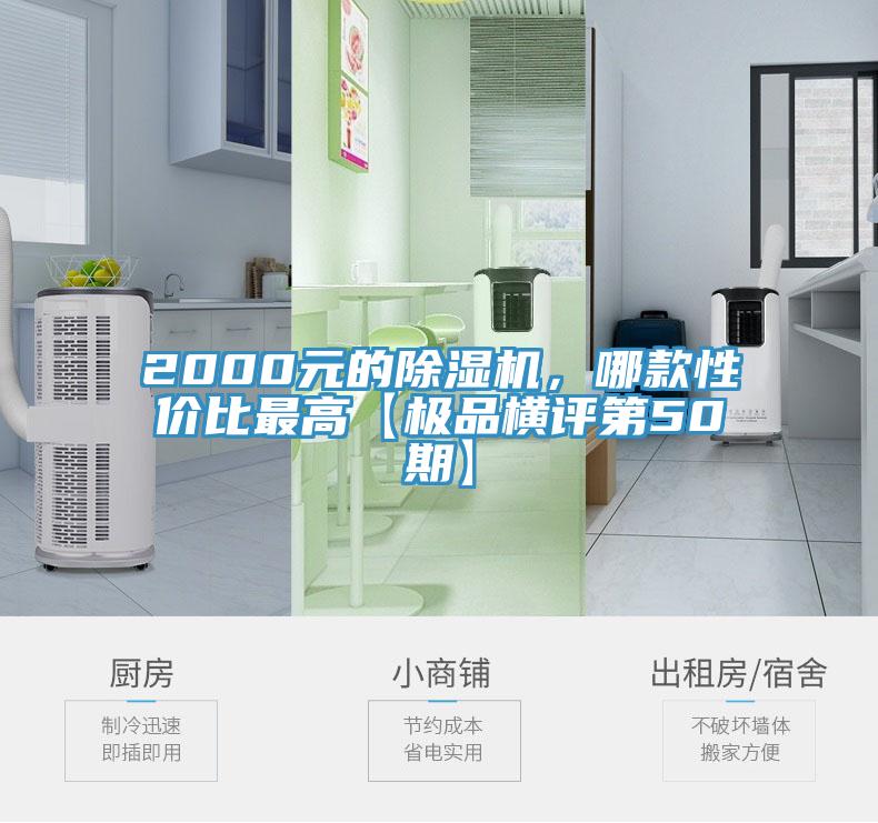 2000元的猫咪成人官网，哪款性价比最高【极品横评第50期】