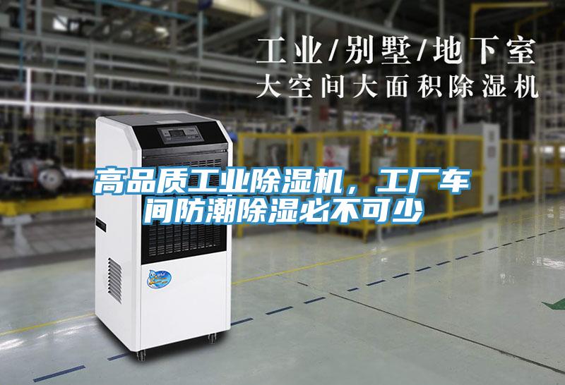 高品质工业猫咪成人官网，工厂车间防潮除湿必不可少