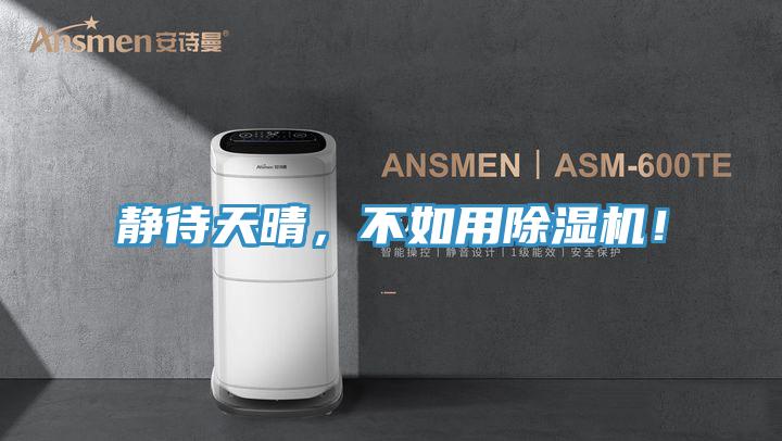 静待天晴，不如用猫咪成人官网！