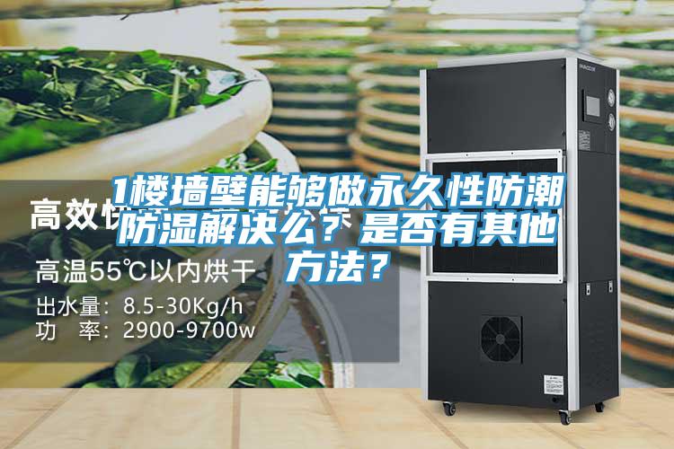 1楼墙壁能够做永久性防潮防湿解决么？是否有其他方法？