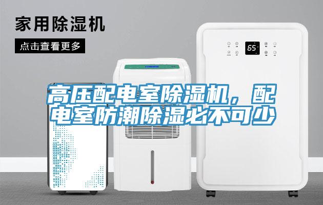 高压配电室猫咪成人官网，配电室防潮除湿必不可少