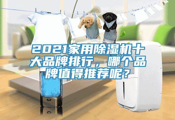 2021家用猫咪成人官网十大品牌排行，哪个品牌值得推荐呢？