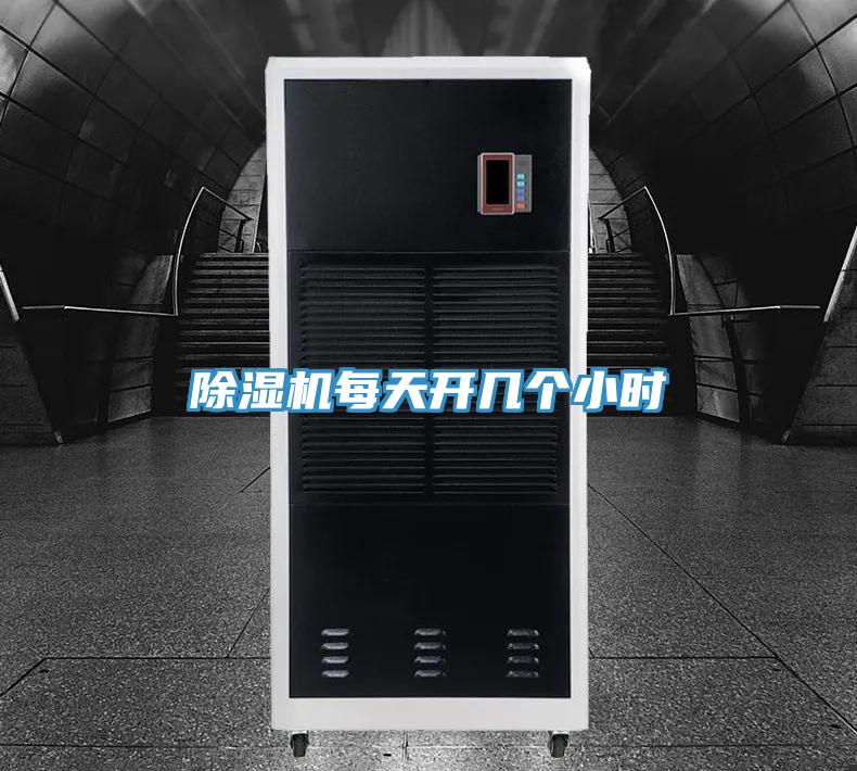 猫咪成人官网每天开几个小时