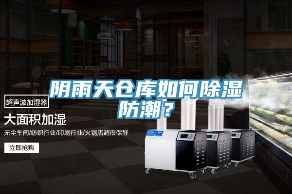 阴雨天仓库如何除湿防潮？