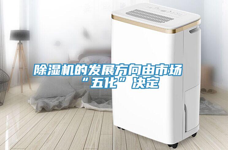 猫咪成人官网的发展方向由市场“五化”决定
