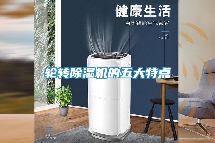 轮转猫咪成人官网的五大特点