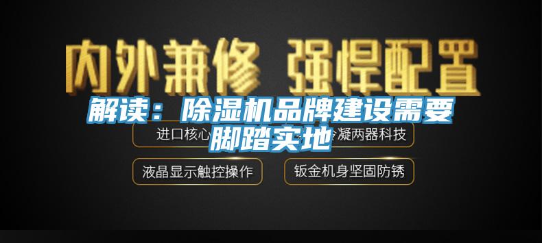 解读：猫咪成人官网品牌建设需要脚踏实地