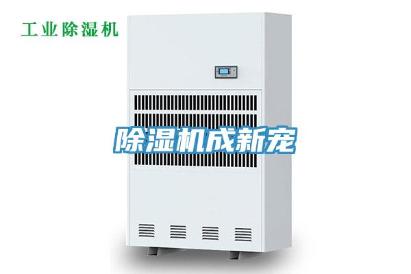 猫咪成人官网成新宠