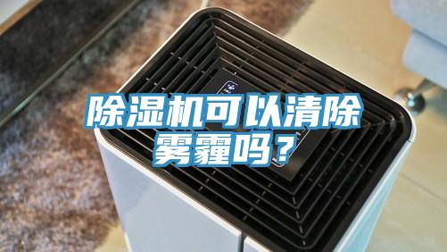 猫咪成人官网可以清除雾霾吗？