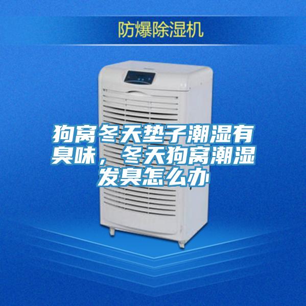 狗窝冬天垫子潮湿有臭味，冬天狗窝潮湿发臭怎么办