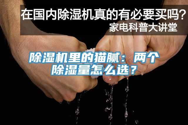 猫咪成人官网里的猫腻：两个除湿量怎么选？