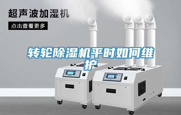 转轮猫咪成人官网平时如何维护