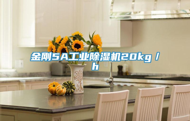 金刚5A工业猫咪成人官网20kg／h