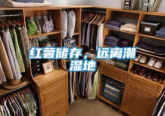 红薯储存，远离潮湿地