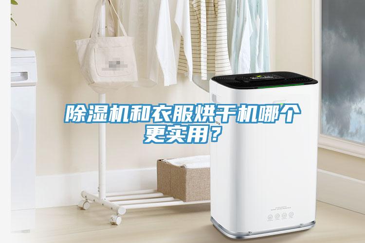 猫咪成人官网和衣服烘干机哪个更实用？