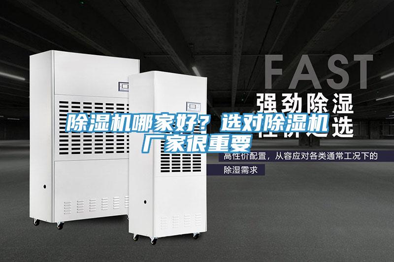 猫咪成人官网哪家好？选对猫咪成人官网厂家很重要