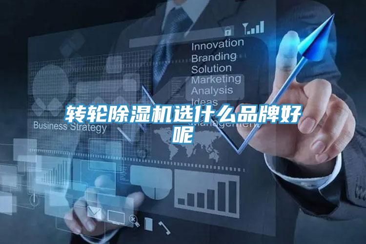 转轮猫咪成人官网选什么品牌好呢