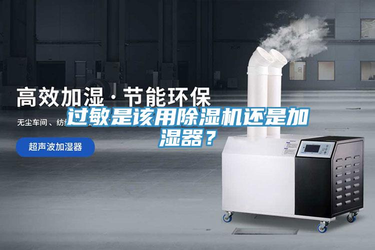 过敏是该用猫咪成人官网还是加湿器？