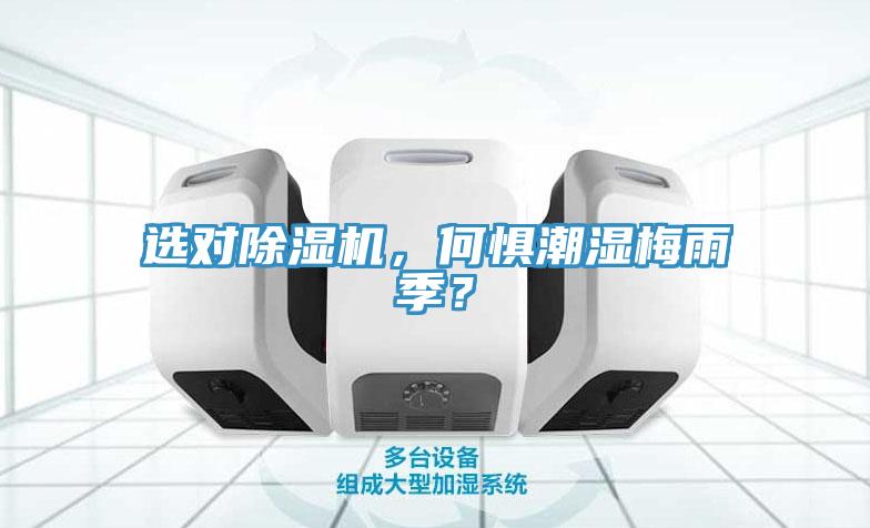 选对猫咪成人官网，何惧潮湿梅雨季？
