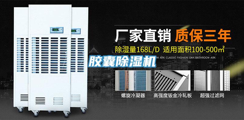 胶囊猫咪成人官网