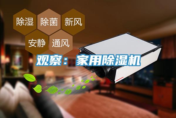 观察：家用猫咪成人官网