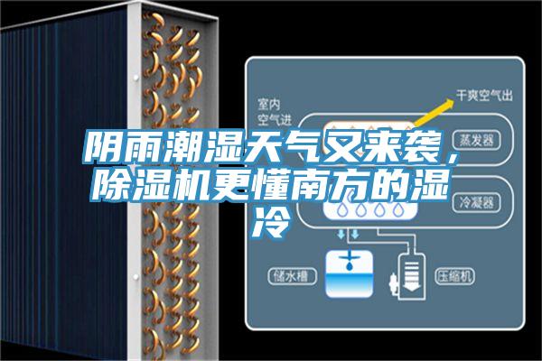 阴雨潮湿天气又来袭，猫咪成人官网更懂南方的湿冷