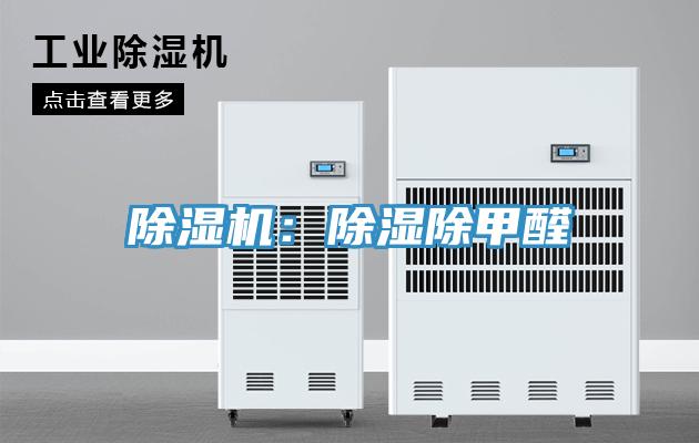 猫咪成人官网：除湿除甲醛