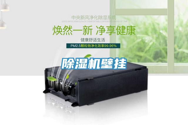 猫咪成人官网壁挂