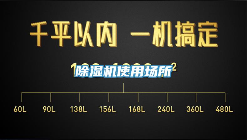 猫咪成人官网使用场所