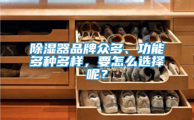 除湿器品牌众多、功能多种多样，要怎么选择呢？