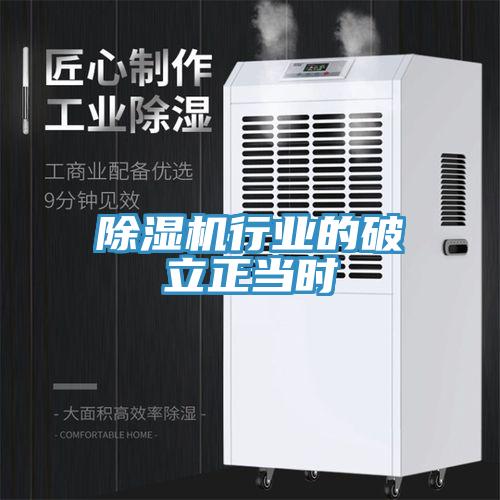 猫咪成人官网行业的破立正当时