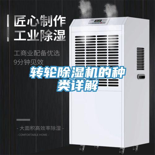 转轮猫咪成人官网的种类详解