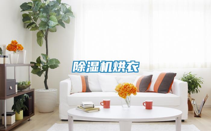 猫咪成人官网烘衣