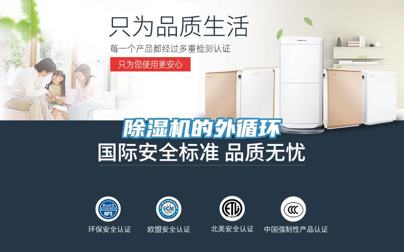 猫咪成人官网的外循环