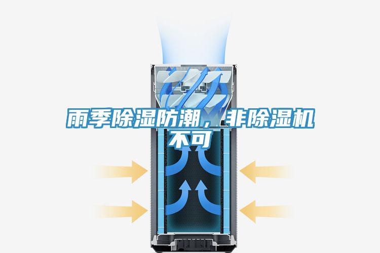 雨季除湿防潮，非猫咪成人官网不可