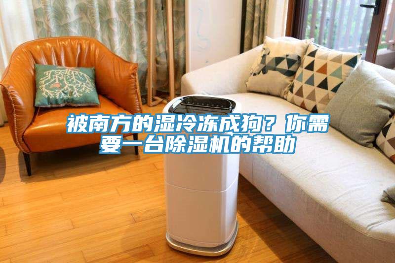 被南方的湿冷冻成狗？你需要一台猫咪成人官网的帮助