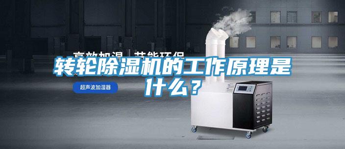 转轮猫咪成人官网的工作原理是什么？