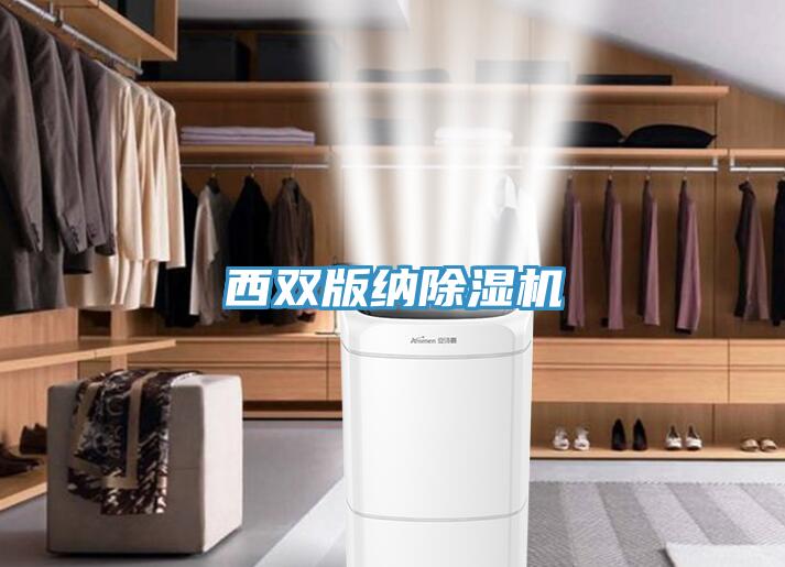 西双版纳猫咪成人官网