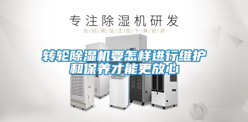 转轮猫咪成人官网要怎样进行维护和保养才能更放心